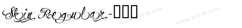 Skin Regular字体转换
